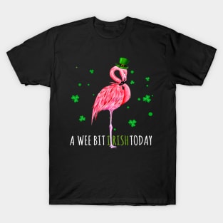 A wee bit irish today T-Shirt